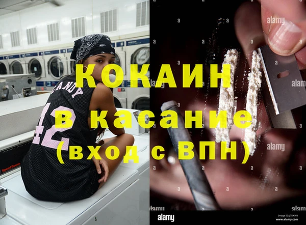 мяу мяу мука Арсеньев