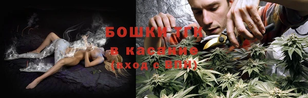 мяу мяу мука Арсеньев